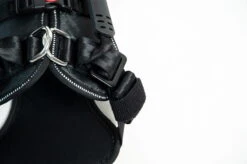 DogMaster 2.0 Hundesicherheitsgurt Größe S -Hundezubehörgeschäft 1067 1631 820 2128x1416