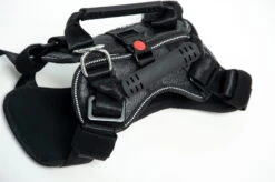 DogMaster 2.0 Hundesicherheitsgurt Größe S -Hundezubehörgeschäft 1067 1633 814 1703x1133