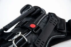 DogMaster 2.0 Hundesicherheitsgurt Größe S -Hundezubehörgeschäft 1067 1688 819 1703x1133