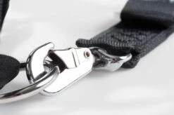 Allsafe Leinenstück -Hundezubehörgeschäft 15380000 2 7 4928x3280 1