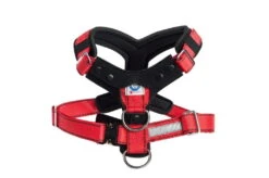 Allsafe Comfort Größe S -Hundezubehörgeschäft 8036 4019 206 1024x681