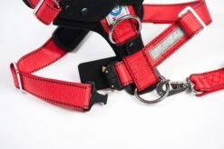 Allsafe Comfort Größe S -Hundezubehörgeschäft 8036 4032 207 4256x2832