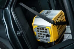 Care² Größe M, Grau -Hundezubehörgeschäft 9123 3198 bmw 3er touring 2019 care t r zu frontal t rseite 666 4256x2832