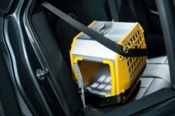 Care² Größe M, Grau -Hundezubehörgeschäft 9123 3201 bmw 3er touring 2019 care t r auf r ckbank front t rseitec7kdwdcg5vee4 665 4256x2832