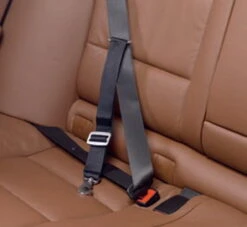 Allsafe Comfort Schwarz Größe S -Hundezubehörgeschäft allsafe2 6 1187x1092