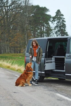 MultiCage Einzelbox Größe M -Hundezubehörgeschäft dsc 0989 1 649 1485x2227 1