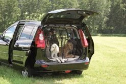 Hundegitter Als Heckgitter Mit 1 Türe Für Renault Kangoo III L1 (kurzer Radstand), Nissan Townstar, Mercedes Citan (Typ 420), T-Klasse, Ab Bj. 2021 -Hundezubehörgeschäft heckgitter gerade bild6 710 2196x1460 484 2196x1460 1