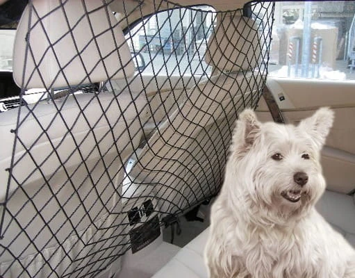 Universalnetz 2 Universalnetz – Bild 2