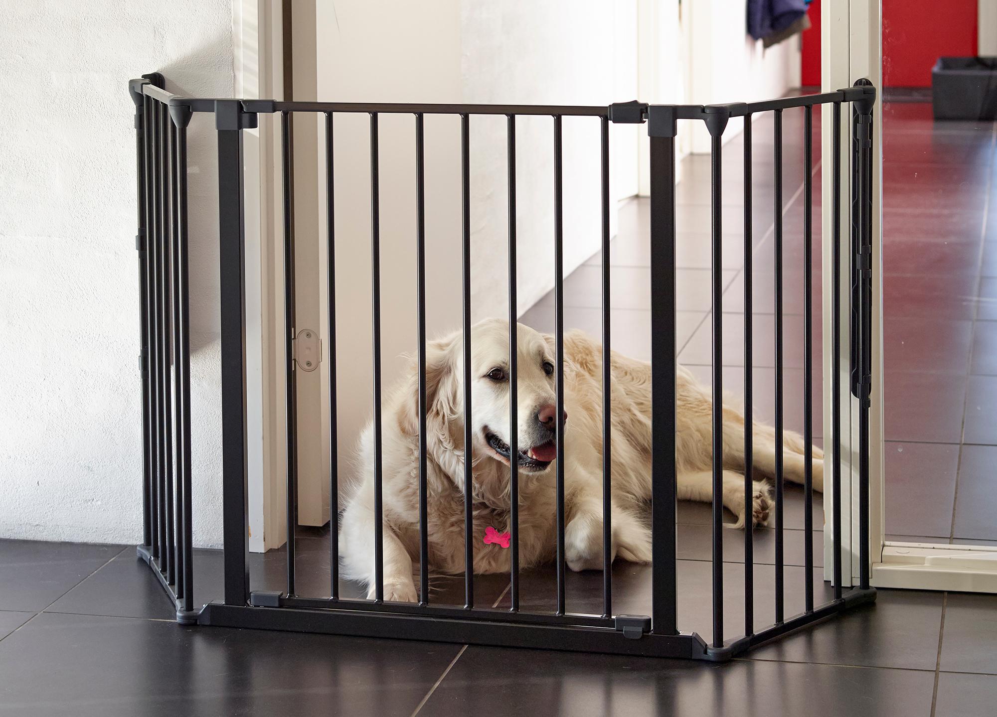 Hundezubehörgeschäft -Hundezubehörgeschäft 56216 pet