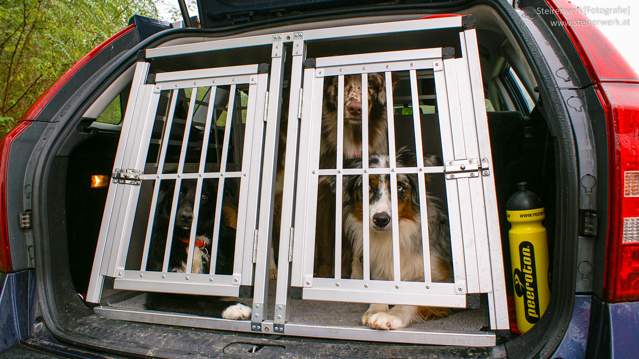 Hundezubehörgeschäft -Hundezubehörgeschäft hundetransportbox hunde auto
